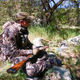 Image for article titled You Don't Know Turkey About Wild Turkeys